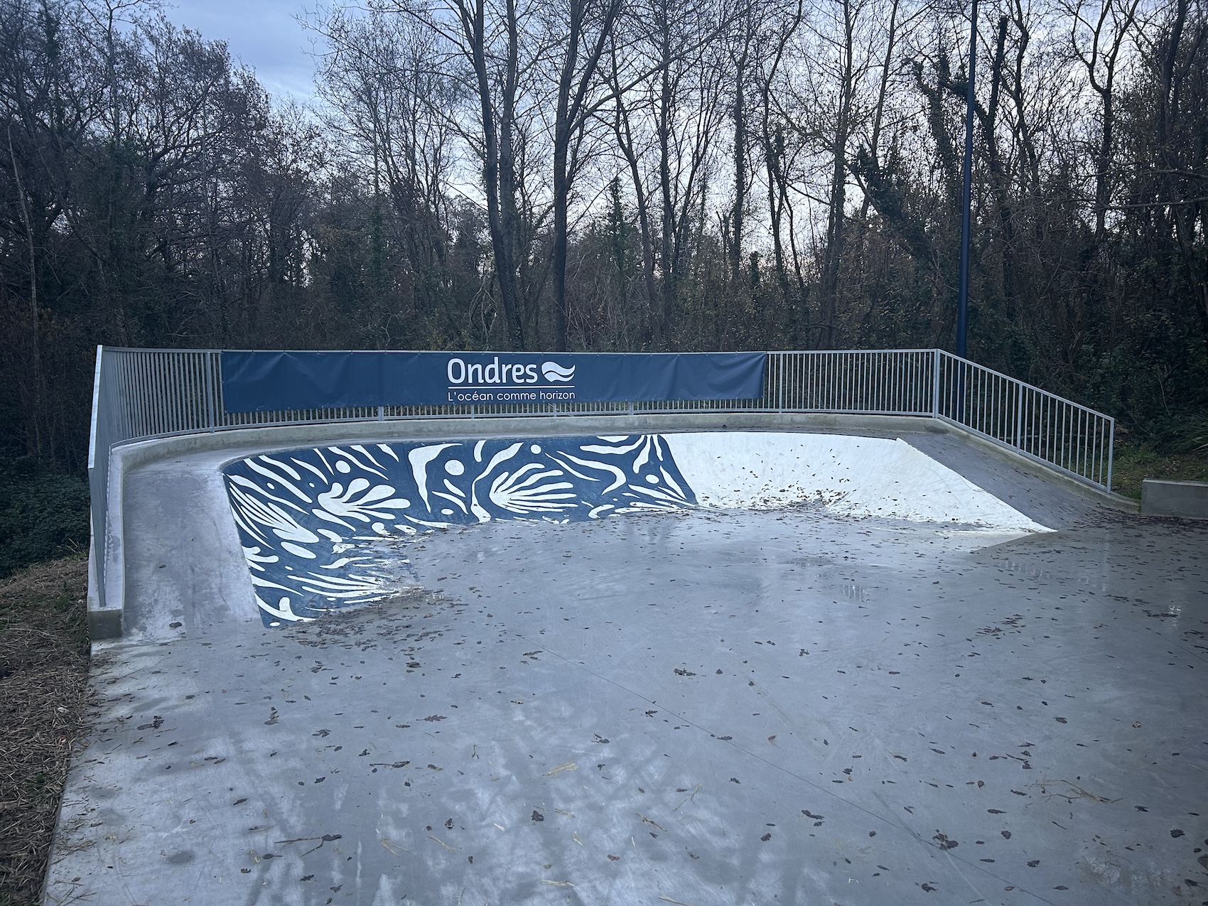 Ondres Library skatepark